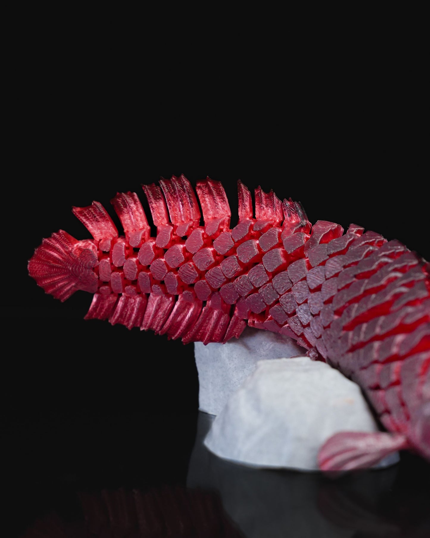Articulated Pirarucu