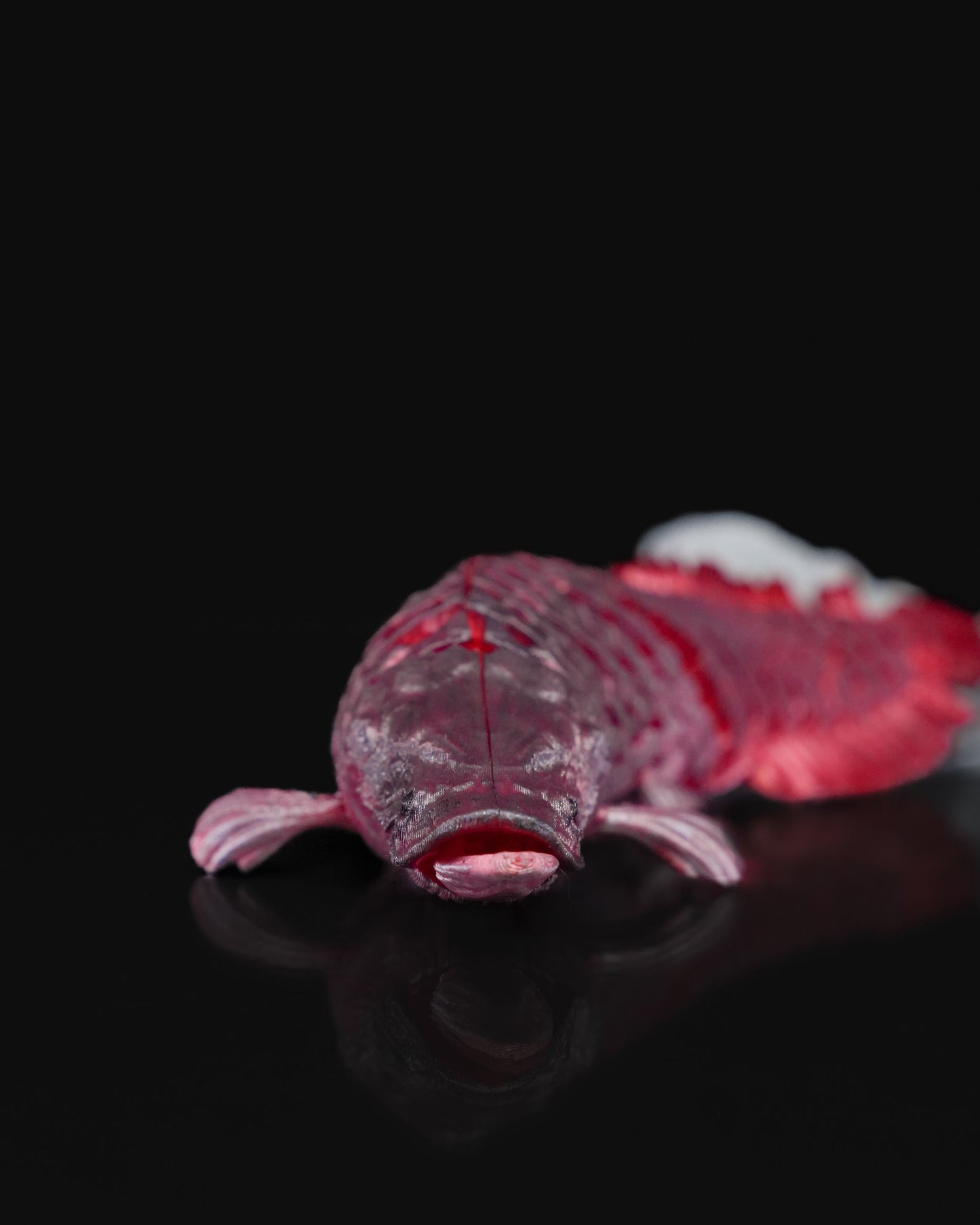 Articulated Pirarucu