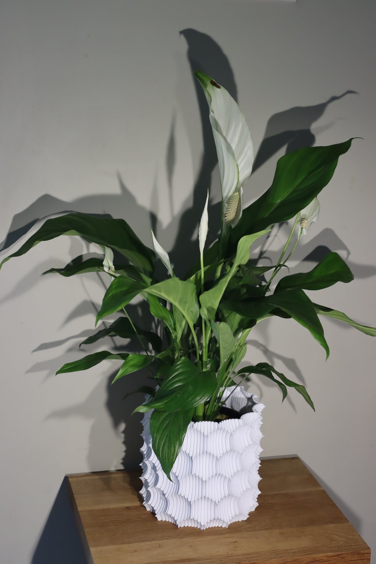 Eaten Corn Vase
