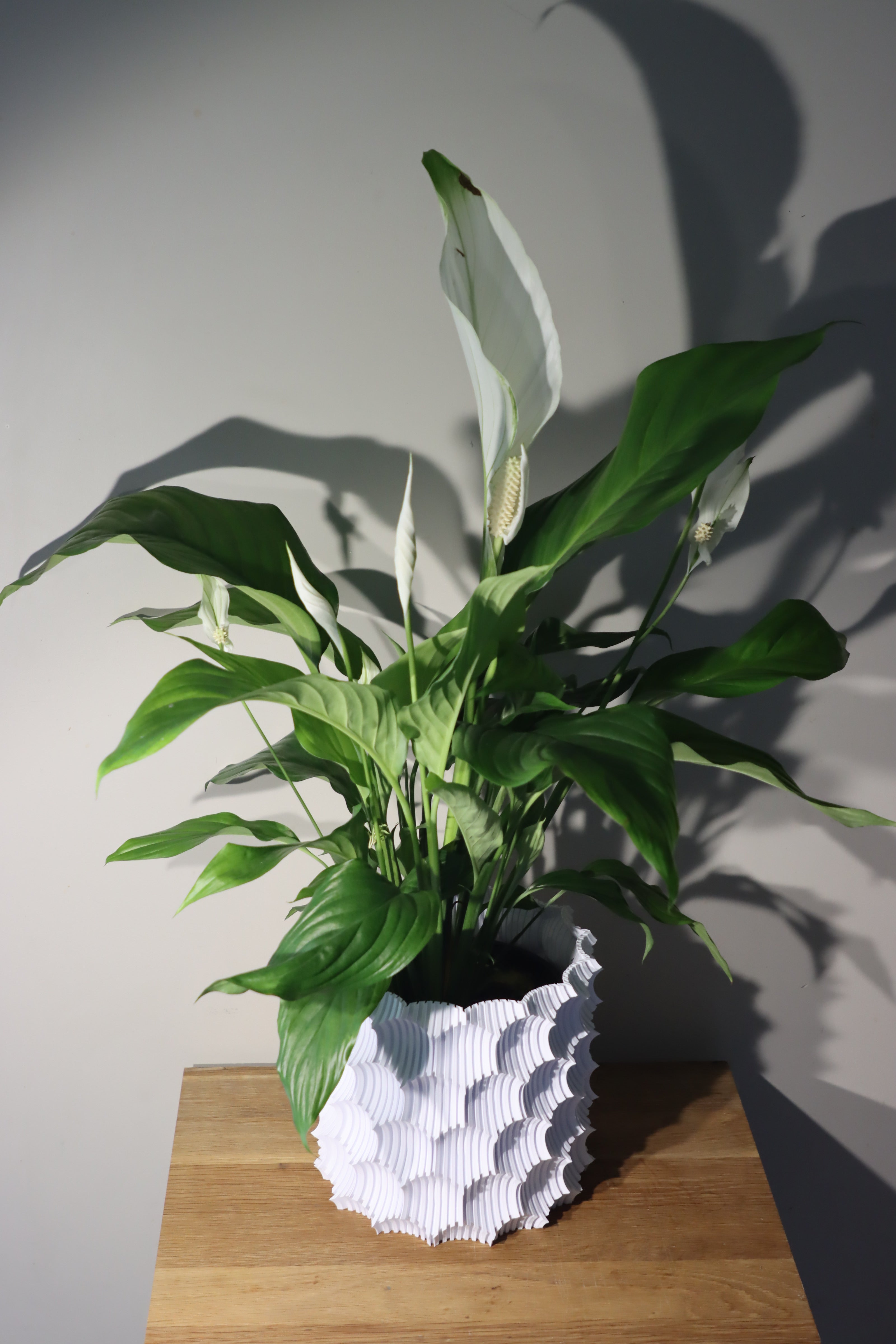 Décor