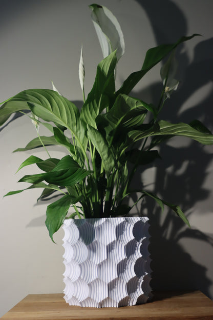 Eaten Corn Vase