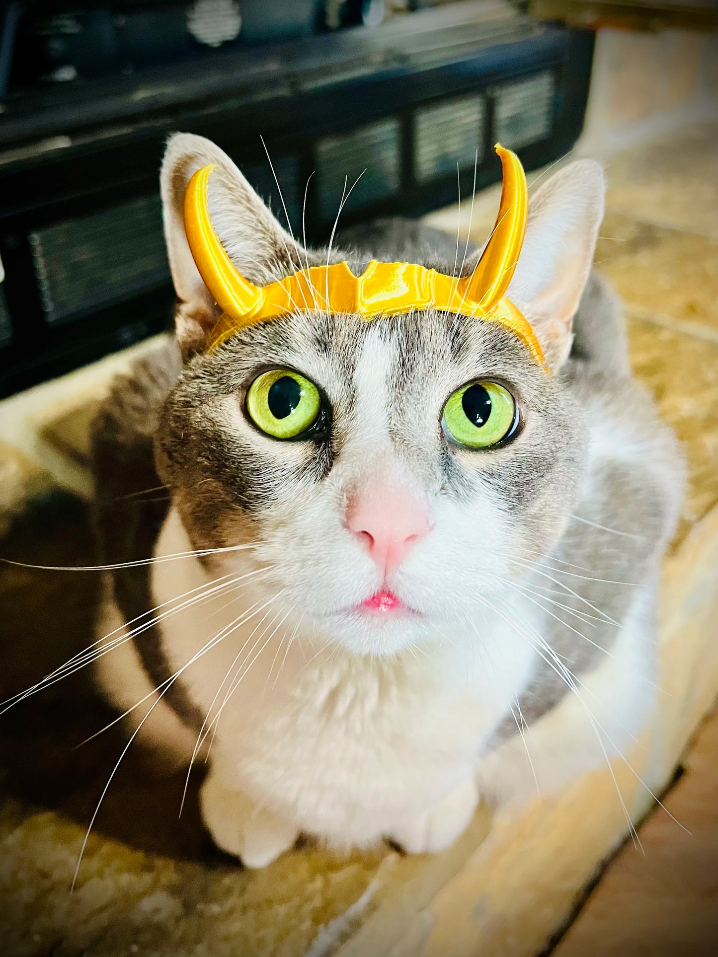 Loki Tiara - Cat